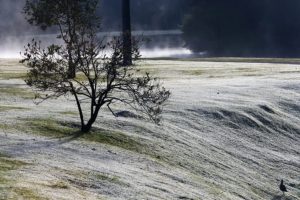 Inmet emite alertas de frio e risco de geada para Maringá e região