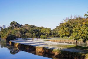 Nova onda de frio intenso tem data para chegar ao Paraná; veja os detalhes