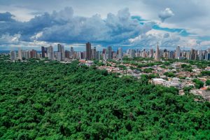 Prazo para solicitar IPTU Verde 2026 termina em 14 de agosto, em Maringá