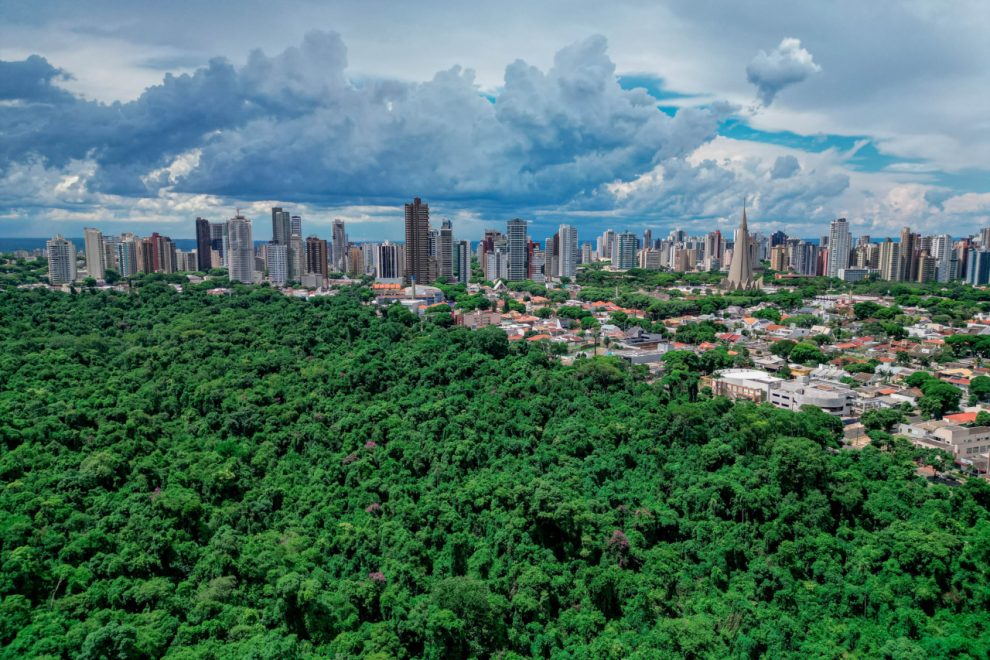 Prazo para solicitar IPTU Verde 2026 termina em 14 de agosto, em Maringá