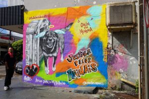 Arte urbana que conscientiza: grafite em Sarandi transforma protesto em mensagem contra maus-tratos animais