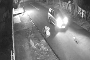 Câmera flagra atropelamento que deixa gato em estado gravíssimo em Maringá
