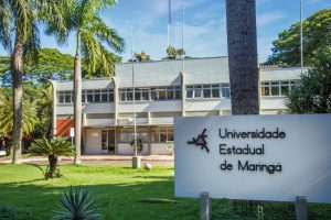 Docentes da Universidade Estadual de Maringá aprovam paralisação e indicativo de greve; veja detalhes