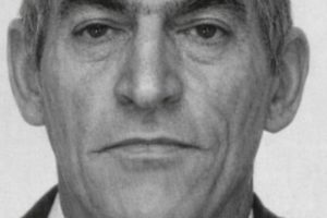 Idoso morre após ser atingido por coice de cavalo