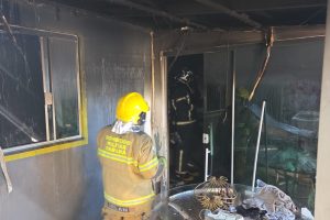 Incêndio em pet shop mobiliza bombeiros em Sarandi