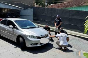 Polícia Civil identifica motorista suspeito de atropelar cachorra na região; vídeo