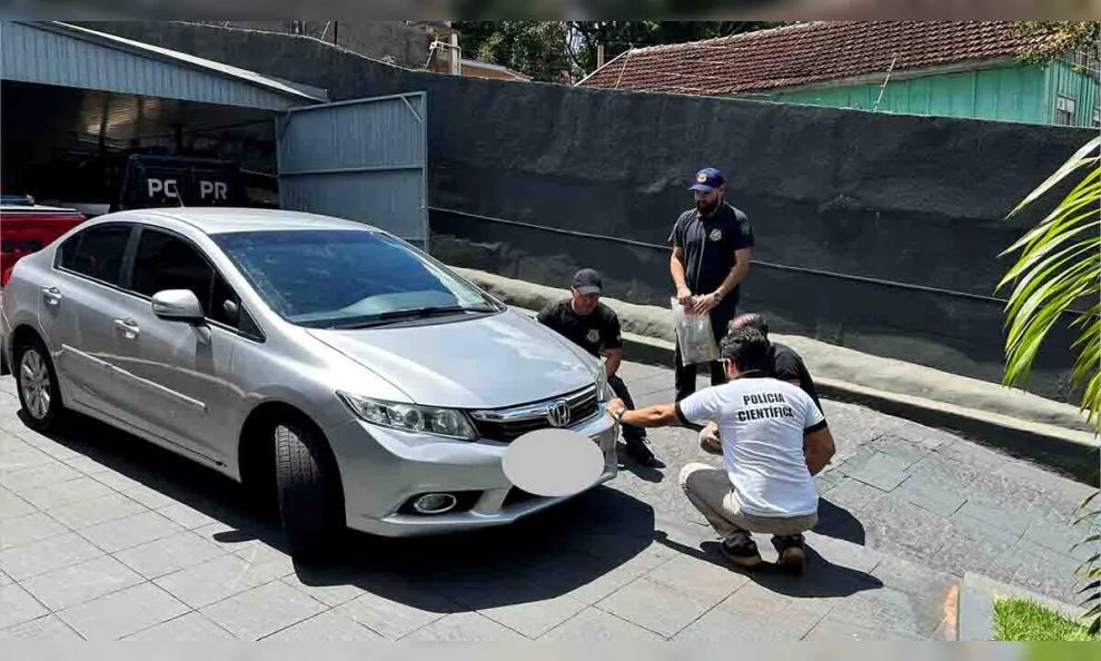 Polícia Civil identifica motorista suspeito de atropelar cachorra na região; vídeo