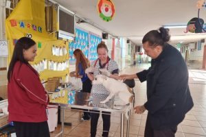 Prefeitura de Maringá realiza vacinação gratuita para cães; veja como participar