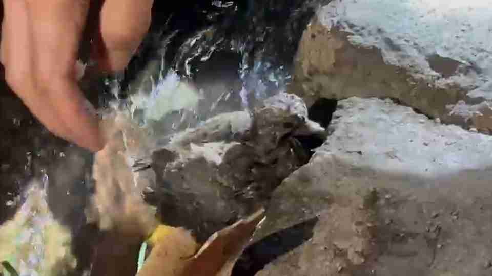 Som estranho leva a descoberta inusitada dentro de tubulação