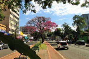 Veja como fica o tempo em Maringá e no Paraná neste sábado, 7