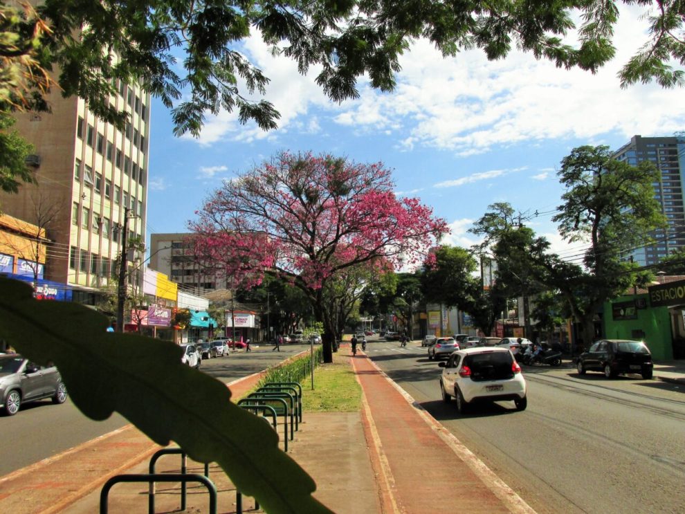Veja como fica o tempo em Maringá e no Paraná neste sábado, 7