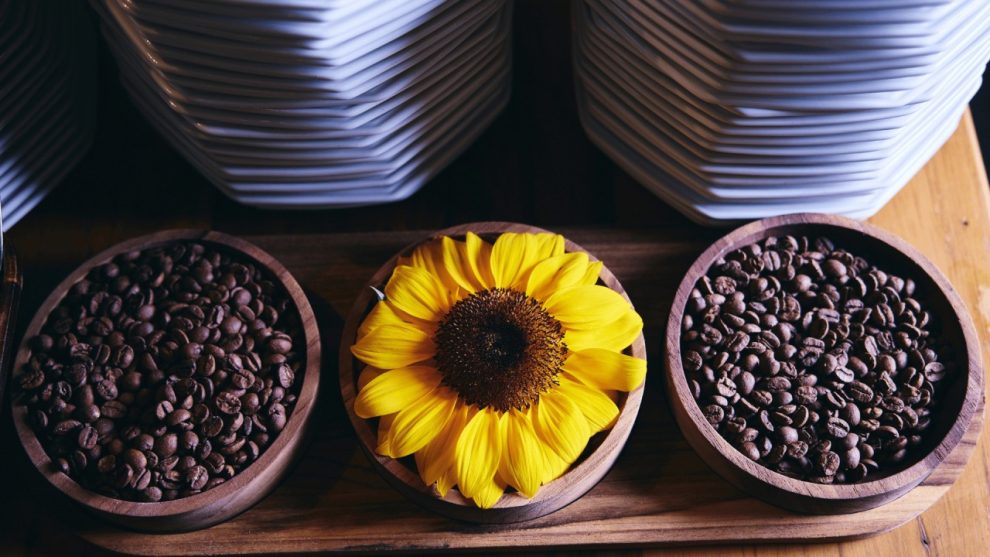 Fim de semana recheado na Cidade Canção; confira a Agenda Cultural: