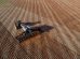 Tecnologias de Precisão em Máquinas Agrícolas Ajudam a Contornar a Alta dos Fertilizantes
