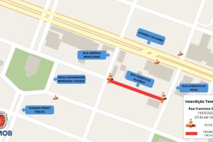 Trecho da Avenida São Paulo entre Mauá e Horácio Raccanello, é interditado para retirada de árvore 