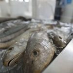 preços variam até 288% na Semana Santa