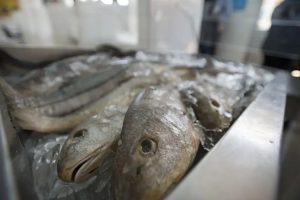 preços variam até 288% na Semana Santa