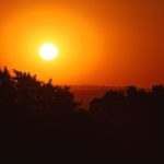 185 cidades do Paraná entram em alerta máximo de onda de calor; veja a lista completa e a previsão do tempo