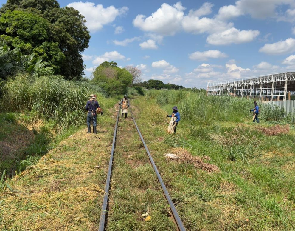 Após acidente entre carro e trem, Prefeitura de Sarandi limpa área e cobra quase R$ 600 mil da concessionária