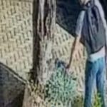 Câmera flagra furto inusitado em área nobre de Maringá; veja