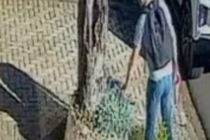 Câmera flagra furto inusitado em área nobre de Maringá; veja