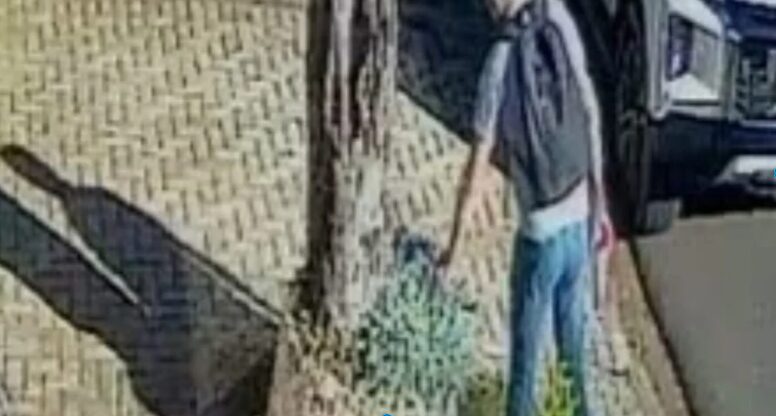 Câmera flagra furto inusitado em área nobre de Maringá; veja