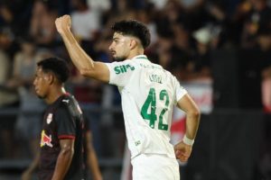 Flamengo e Palmeiras buscam manter invencibilidade na Libertadores