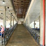 Idoso é preso após importunar sexualmente adolescente de 17 anos dentro de ônibus em Maringá