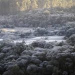 Paraná espera as primeiras geadas já em abril; veja quando e onde