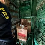 Polícia apreende 350 mil maços de cigarros do Paraguai escondidos em caminhão na região de Maringá