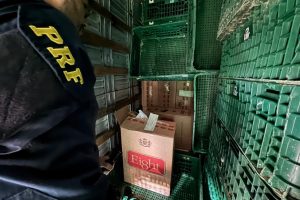 Polícia apreende 350 mil maços de cigarros do Paraguai escondidos em caminhão na região de Maringá