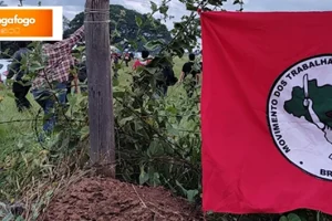 Sistema FAEP alerta para mecanismos federais que protegem invasores de terra