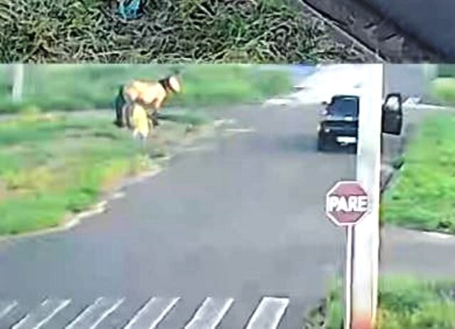 Vídeo mostra ladrão furtando corda de cavalo na região