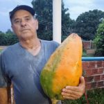 ‘É uma coisa linda’, diz