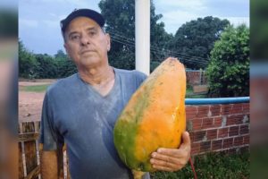 ‘É uma coisa linda’, diz