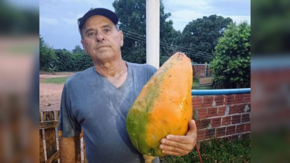 ‘É uma coisa linda’, diz