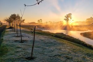 142 municípios entram em alerta de geada e previsão indica 0°C nesta semana; veja a lista completa