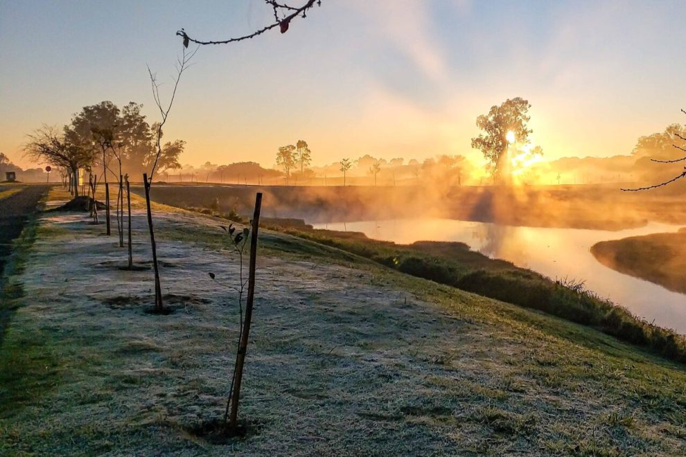142 municípios entram em alerta de geada e previsão indica 0°C nesta semana; veja a lista completa