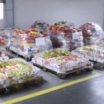 Adora Maringá Arrecada 5 Toneladas de Alimentos na Expoingá e Beneficia Entidades Sociais