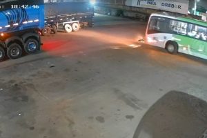 Cachorro morre atropelado por ônibus em pátio de empresa em Sarandi; vídeo