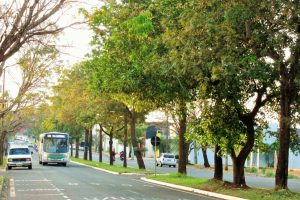 Confira a previsão do tempo desta quarta-feira, 27, em Maringá