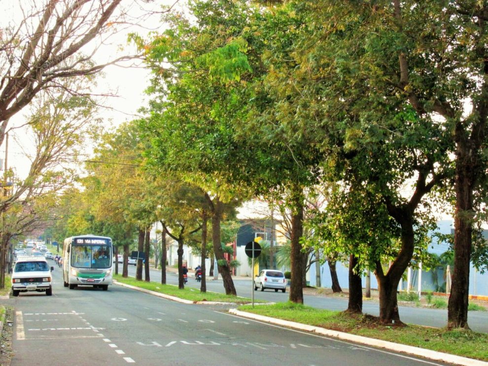 Confira a previsão do tempo desta quarta-feira, 27, em Maringá