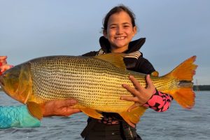 Criança de 7 anos quebra recorde brasileiro ao pescar dourado gigante no Rio Paraná; video