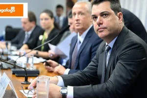 Em audiência no Senado, Sistema FAEP expõe prejuízos do agro por quedas de energia