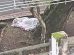 Mulher desaparecida há dois meses é resgatada no Passeio Público