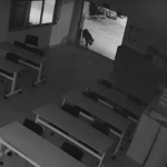 Novo vídeo mostra onça-pintada em refeitório de empresa na região de Maringá; força-tarefa procura animal