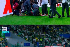 Torcedor que invadiu gramado durante jogo de Palmeiras e Santos é morador da região de Maringá