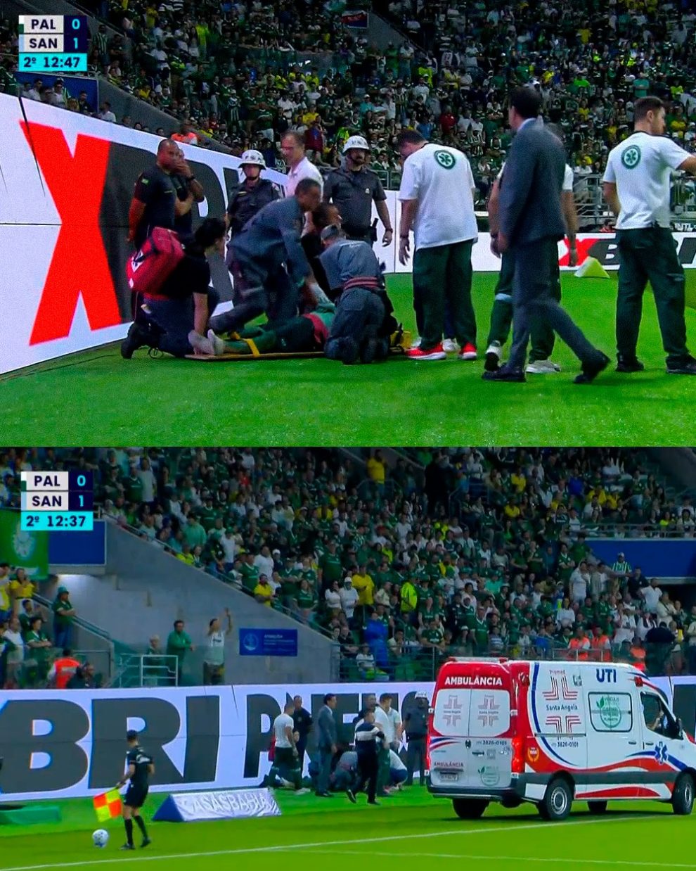 Torcedor que invadiu gramado durante jogo de Palmeiras e Santos é morador da região de Maringá