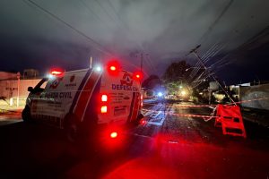 Vendaval com rajadas de até 65 km/h derruba 23 árvores e causa transtornos em Maringá; vídeos mostram estragos pela cidade