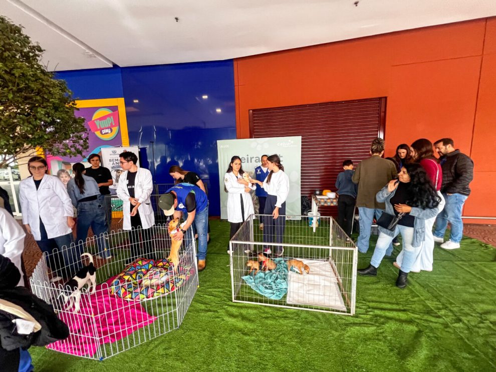Bem-Estar Animal de Maringá orienta comunidade sobre adoção responsável pelo aplicativo Petis