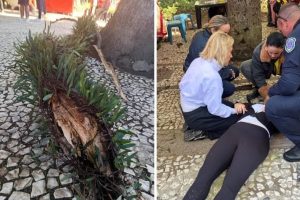 “Dilacerou a medula dela”, diz mãe
